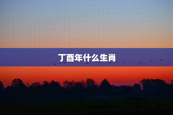 丁酉年什么生肖