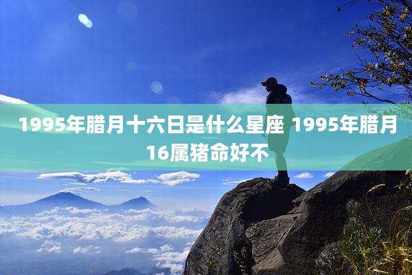 1995年腊月十六日是什么星座 1995年腊月16属猪命好不