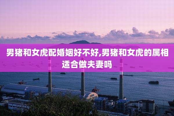 男猪和女虎配婚姻好不好,男猪和女虎的属相适合做夫妻吗