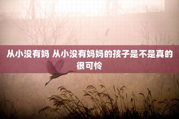 从小没有妈 从小没有妈妈的孩子是不是真的很可怜