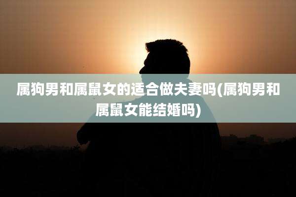 属狗男和属鼠女的适合做夫妻吗(属狗男和属鼠女能结婚吗)