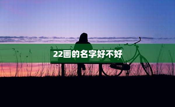 22画的名字好不好