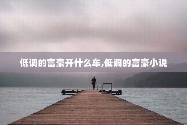 低调的富豪开什么车,低调的富豪小说