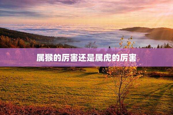 属猴的厉害还是属虎的厉害