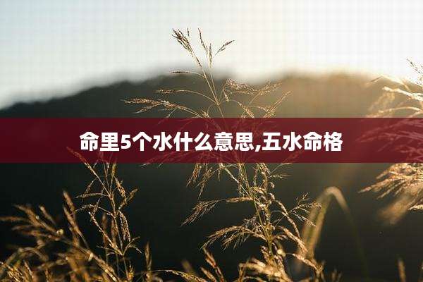命里5个水什么意思,五水命格