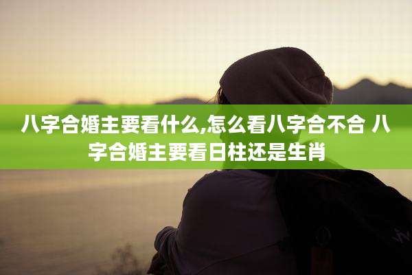 八字合婚主要看什么,怎么看八字合不合 八字合婚主要看日柱还是生肖