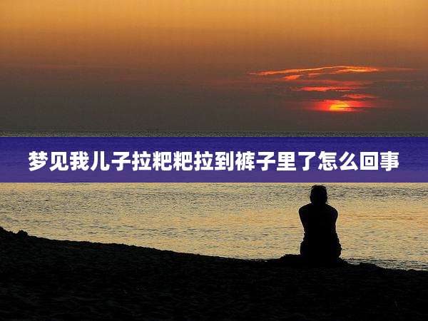 梦见我儿子拉粑粑拉到裤子里了怎么回事