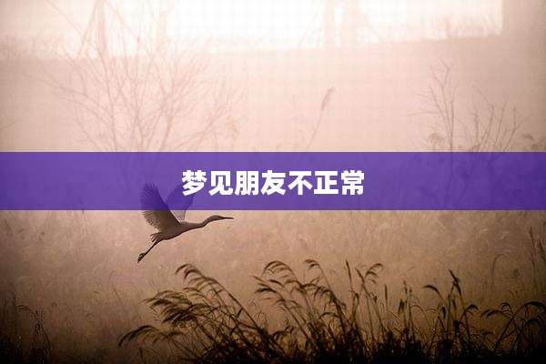梦见朋友不正常