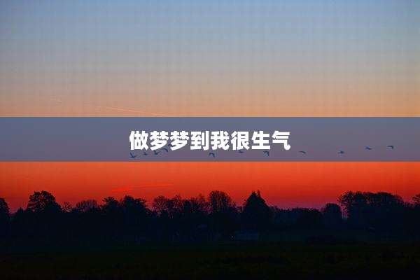 做梦梦到我很生气