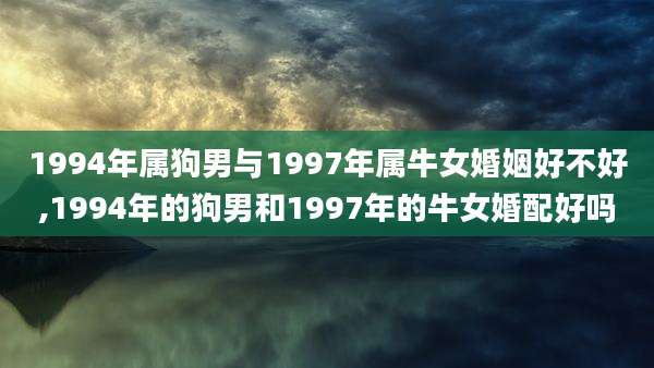 1994年属狗男与1997年属牛女婚姻好不好,1994年的狗男和1997年的牛女婚配好吗