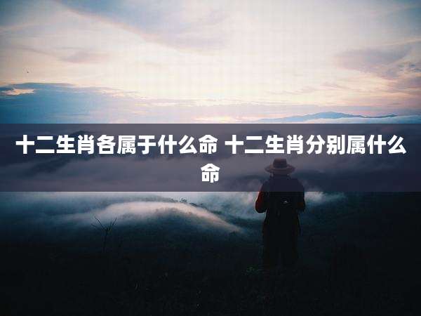 十二生肖各属于什么命 十二生肖分别属什么命