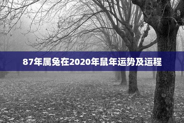 87年属兔在2020年鼠年运势及运程