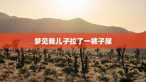 梦见我儿子拉了一裤子屎
