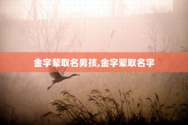金字辈取名男孩,金字辈取名字