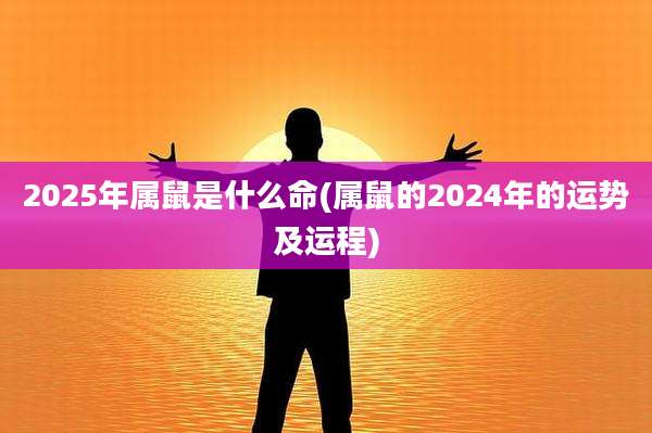 2025年属鼠是什么命(属鼠的2024年的运势及运程)
