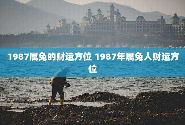 1987属兔的财运方位 1987年属兔人财运方位