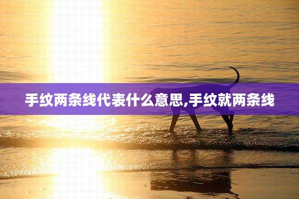 手纹两条线代表什么意思,手纹就两条线