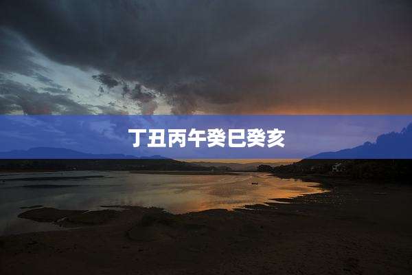 丁丑丙午癸巳癸亥