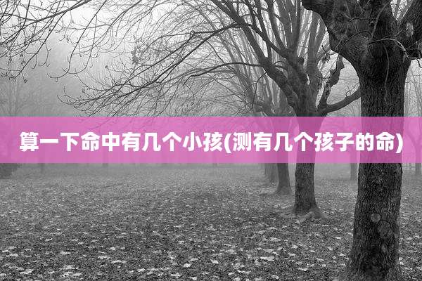 算一下命中有几个小孩(测有几个孩子的命)