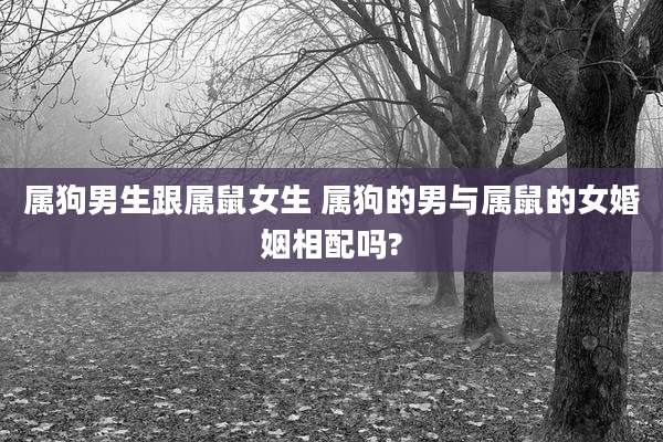 属狗男生跟属鼠女生 属狗的男与属鼠的女婚姻相配吗?