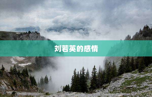 刘若英的感情