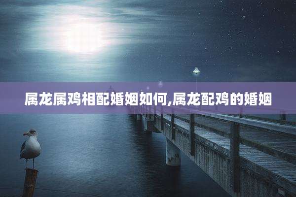 属龙属鸡相配婚姻如何,属龙配鸡的婚姻