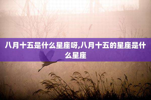 八月十五是什么星座呀,八月十五的星座是什么星座