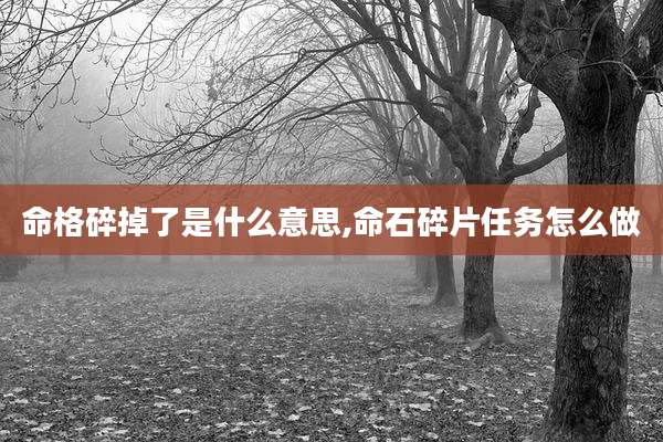 命格碎掉了是什么意思,命石碎片任务怎么做