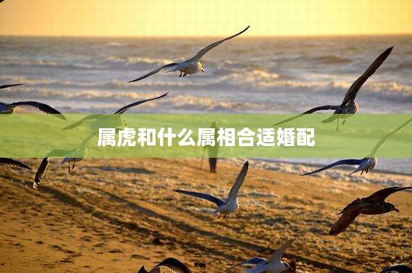 属虎和什么属相合适婚配