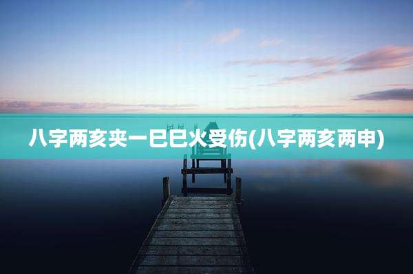 八字两亥夹一巳巳火受伤(八字两亥两申)