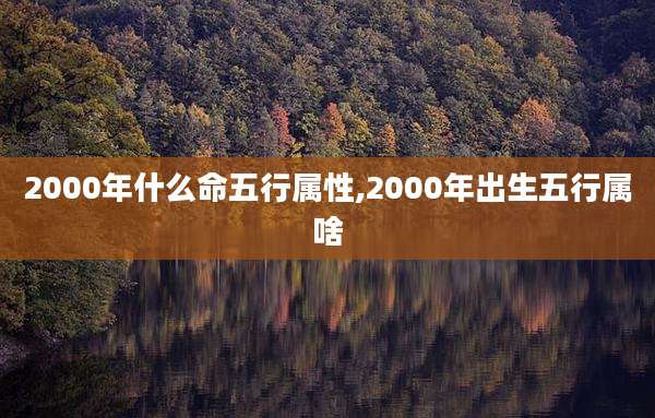 2000年什么命五行属性,2000年出生五行属啥