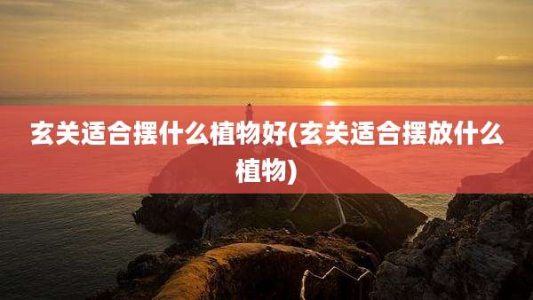 玄关适合摆什么植物好(玄关适合摆放什么植物)