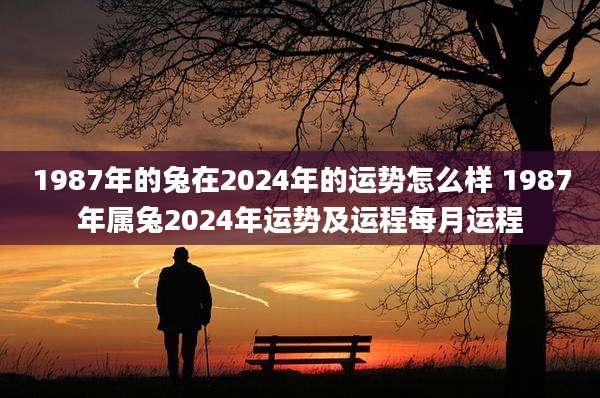 1987年的兔在2024年的运势怎么样 1987年属兔2024年运势及运程每月运程