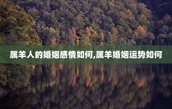 属羊人的婚姻感情如何,属羊婚姻运势如何