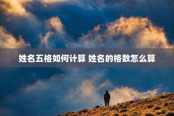 姓名五格如何计算 姓名的格数怎么算