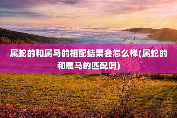 属蛇的和属马的相配结果会怎么样(属蛇的和属马的匹配吗)