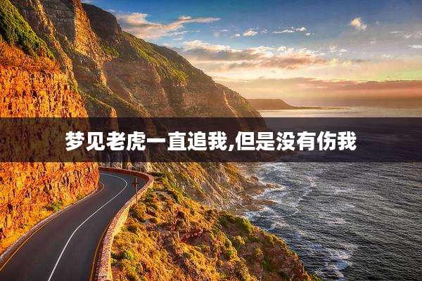 梦见老虎一直追我,但是没有伤我