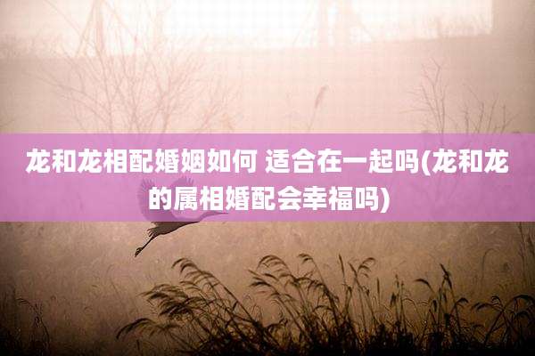 龙和龙相配婚姻如何 适合在一起吗(龙和龙的属相婚配会幸福吗)