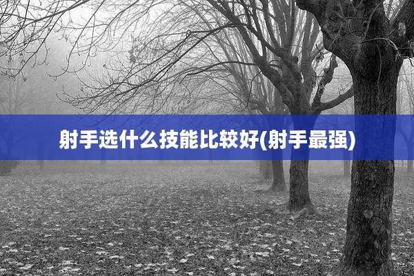 射手选什么技能比较好(射手最强)
