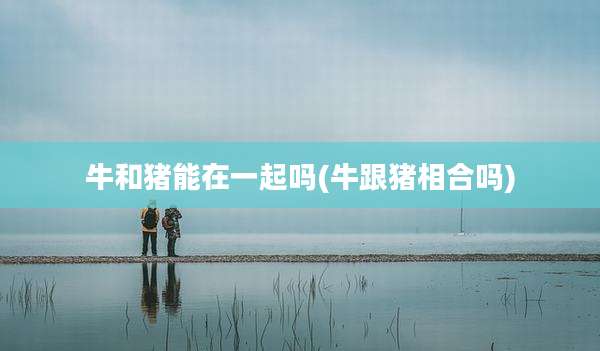 牛和猪能在一起吗(牛跟猪相合吗)