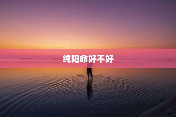 纯阳命好不好
