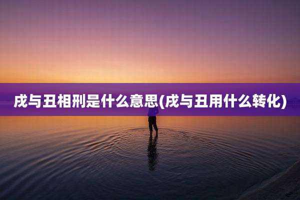 戌与丑相刑是什么意思(戌与丑用什么转化)
