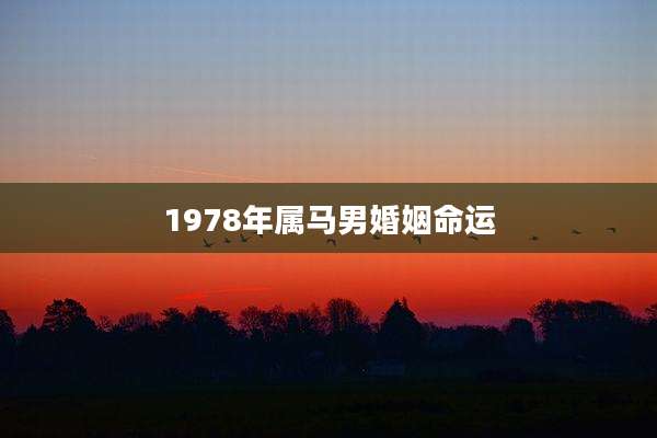 1978年属马男婚姻命运