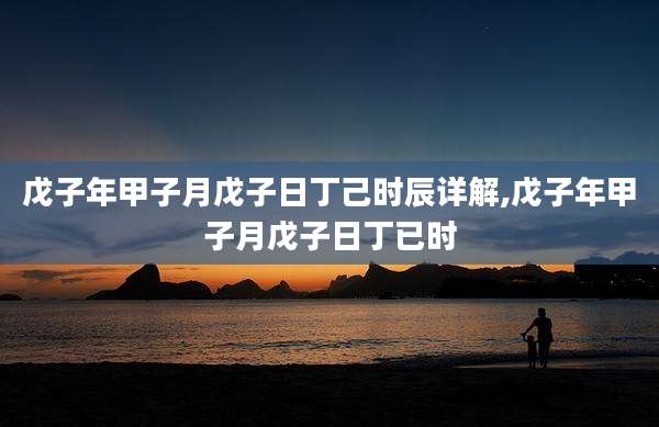 戊子年甲子月戊子日丁己时辰详解,戊子年甲子月戊子日丁已时