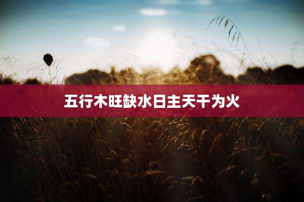 五行木旺缺水日主天干为火