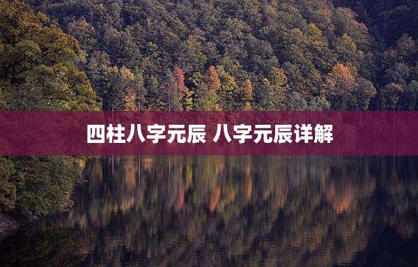 四柱八字元辰 八字元辰详解