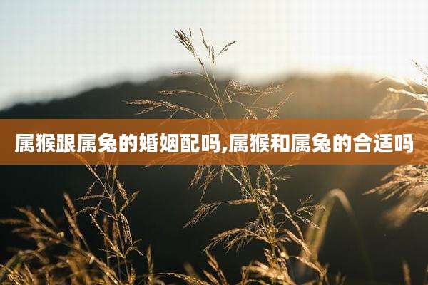 属猴跟属兔的婚姻配吗,属猴和属兔的合适吗