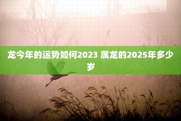 龙今年的运势如何2023 属龙的2025年多少岁