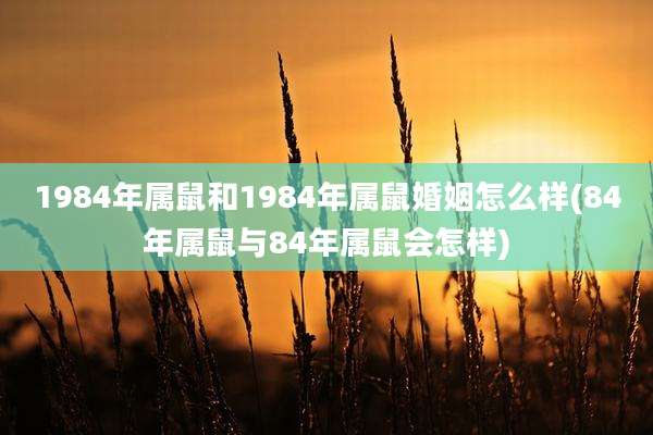 1984年属鼠和1984年属鼠婚姻怎么样(84年属鼠与84年属鼠会怎样)