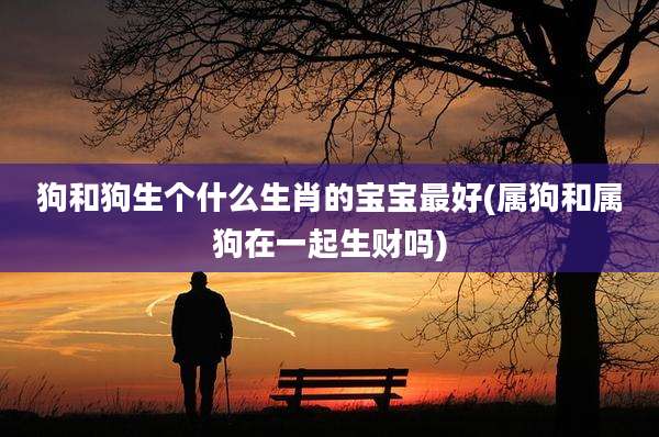 狗和狗生个什么生肖的宝宝最好(属狗和属狗在一起生财吗)